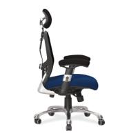 Ergo Ergonomic Luxury High Back Executive Mesh Chair with Chrome Base Certified for 24 Hour Use - Scuba/Black