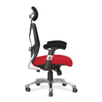 Ergo Ergonomic Luxury High Back Executive Mesh Chair with Chrome Base Certified for 24 Hour Use - Belize/Black