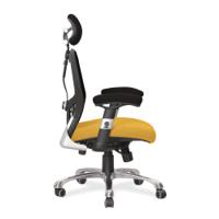 Ergo Ergonomic Luxury High Back Executive Mesh Chair with Chrome Base Certified for 24 Hour Use - Solano/Black