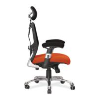 Ergo Ergonomic Luxury High Back Executive Mesh Chair with Chrome Base Certified for 24 Hour Use - Olympic/Black