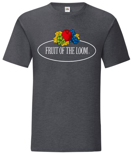 Fruit of the Loom Vintage Large Logo T-Shirt