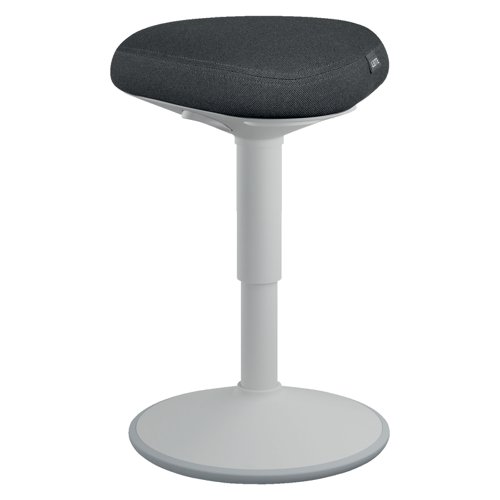 Leitz Ergo Active Sitting Stool Light Grey 65440085