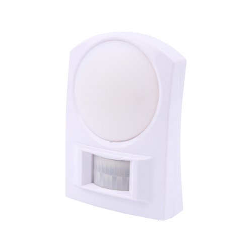 Wall Light with Motion Detector