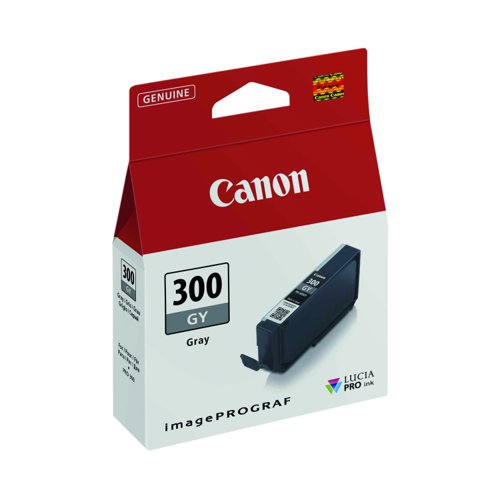 Canon No.300 Inkjet Cartridge Grey PFI-300GY 4200C001