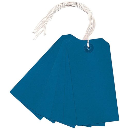 Strung Tag 120x60mm Blue (Pack 250)