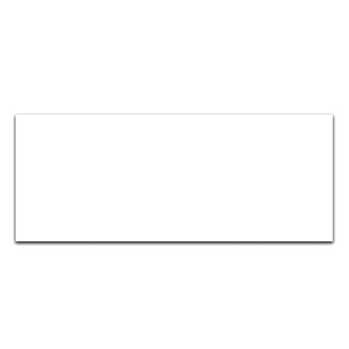 Beaverswood Ticket Holder Insert Card 80x200mm White (Pack 50) TC820