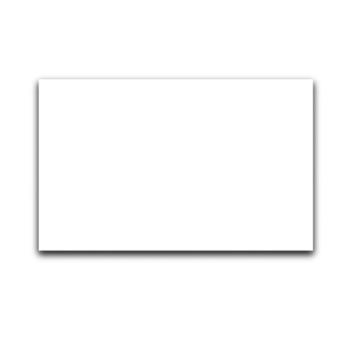 Beaverswood Label Card Insert 50x80mm White (Pack 100) LC58