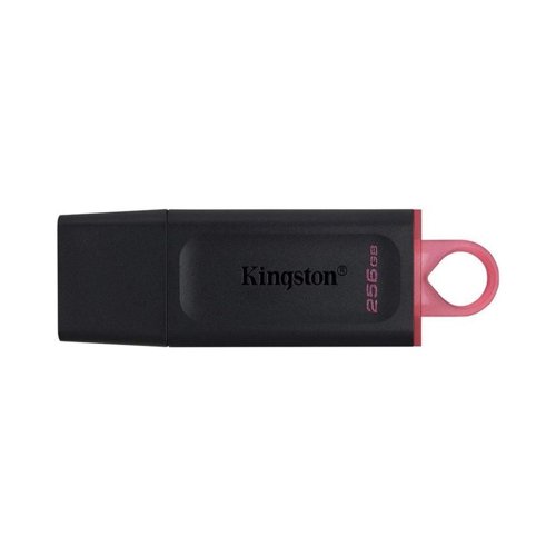 Kingston DataTraveler USB Flash Drive 256GB DTX/256GB