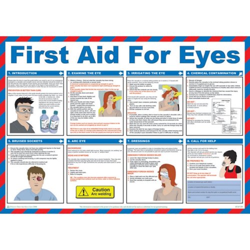 First Aid For Eyes PVC Poster 590x420mm
