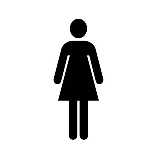 Aluminium Look Ladies Toilet Sign 100mm Diameter