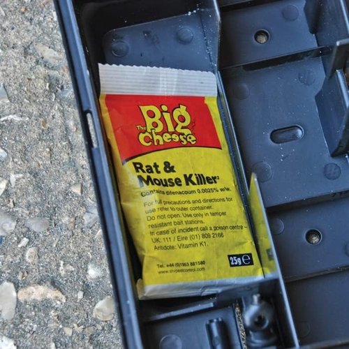 Big Cheese Rat & Mouse Killer Grain Bait 6x25g (STV244)