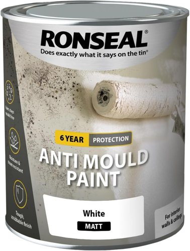 Ronseal Anti Mould Paint White Matt 750ml