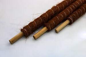 Moss Pole Coir Grow Pole 140 Cm Plant Support