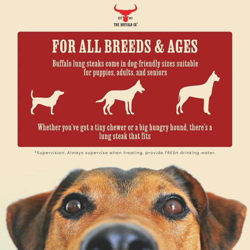 Buffalo Lung Steaks Dog Treat