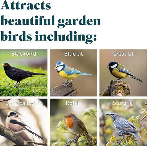 RSPB - Fat Balls for Wild Birds  High Energy Suet Balls  Made in the UK  1 x 50 Box