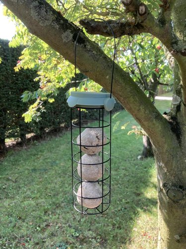 Filled Fliptop Fatball Birdfeeder