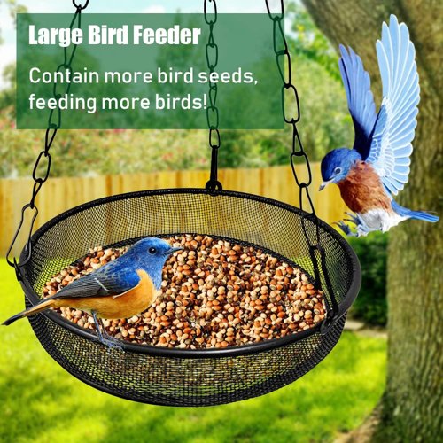 Filled Hanging Bird Feeder Tray