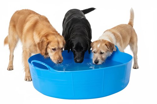 Red Gorilla  Tubtrugs  Shallow 35L  Blue  Flexible Wide Tubs