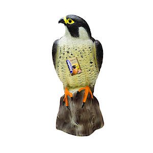 Natural Bird Deterrent for Garden,Business or Home Falcon Bird 40cm Harmless pest Control