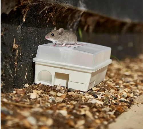 The Big Cheese Ultra Power Ready-Baited Mouse Trap Kit, White