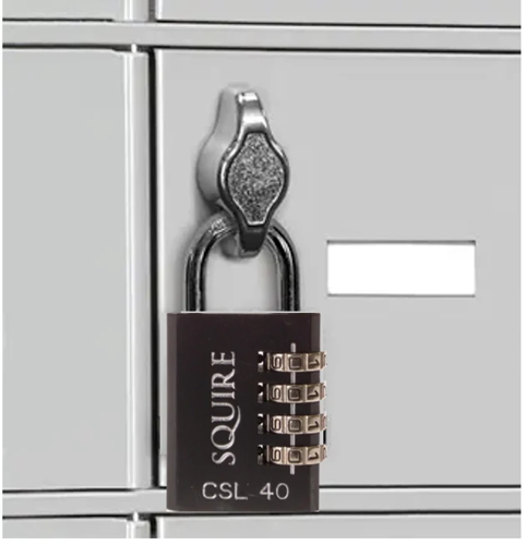 NWT7986