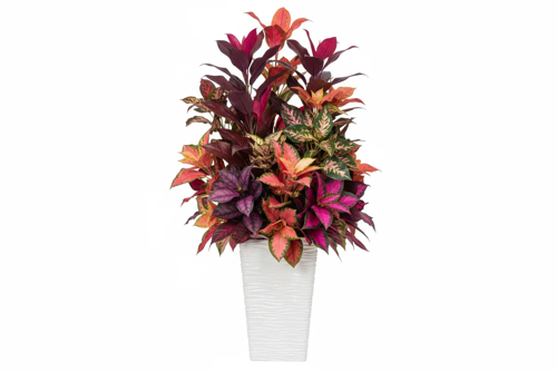 Fixtures Glaze Wave High Gloss LARGE Planter {White} Indoor or Outdoor