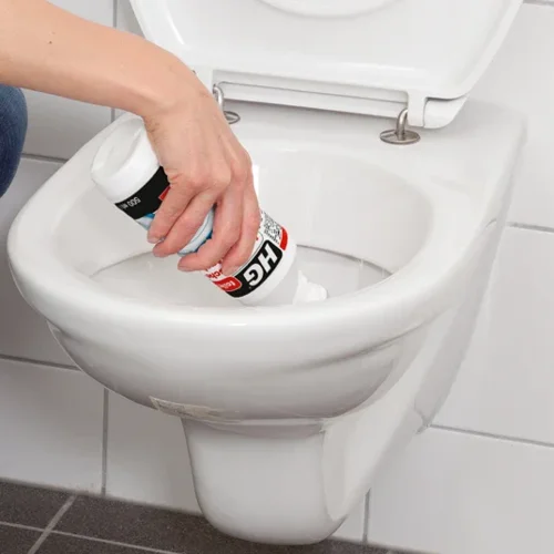 HG Cleaner Gel Hygienic Toilet Gel 500ml