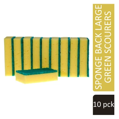 Janit-X Abrasive Sponge Back Large Green Scourers Pack 10's