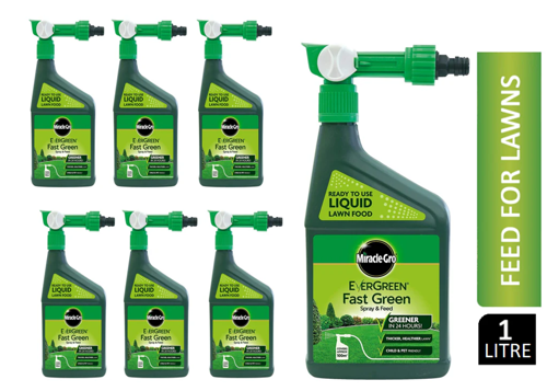Miracle-Gro Evergreen Fast Green Spray & Feed 1 Litre - PACK (12)