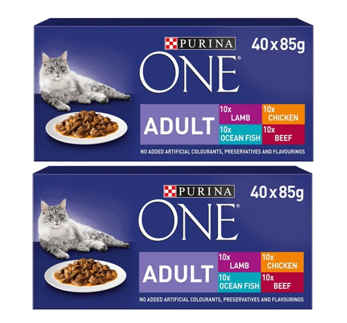 Purina ONE Adult Cat Food Mixed Mini Fillets in Gravy 40x85g