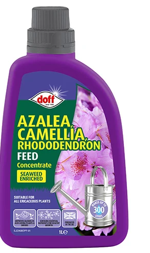 Doff Azalia, Camellia, Rhododendron Concentrated Liquid Feed 1L