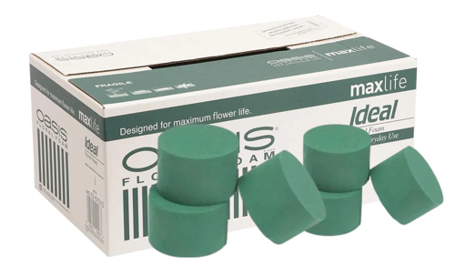 OASIS Ideal Floral Foam Cylinders {Pack x 72}
