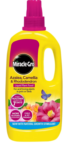 Miracle-Gro Azalea, Camellia & Rhododendron Concentrated Liquid Plant Food, 1 Litre