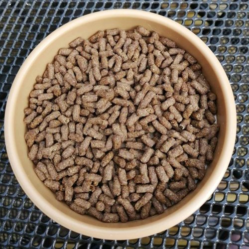 Brambles Semi-Moist Hedgehog Food, 1.3 Kg