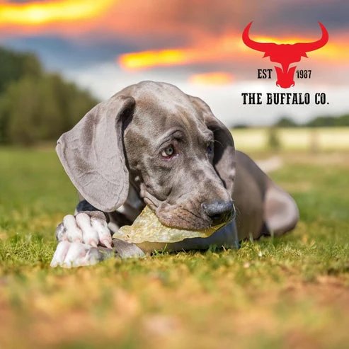 The Buffalo Co: Buffalo Ears 10 Pack 100% Natural High Protein, Low Fat Treats