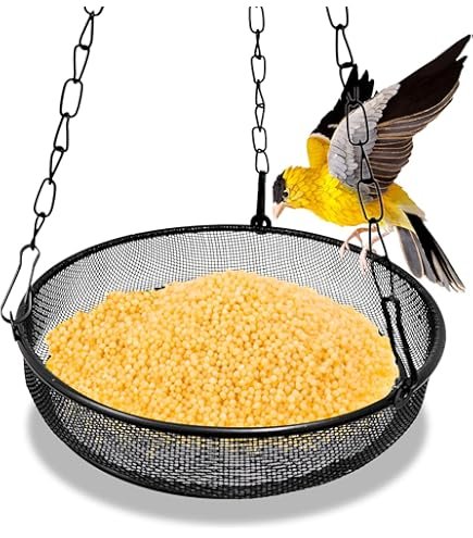 Oakdale Hanging Feeder Tray Micro Mesh Food Tray Black 18.5cm