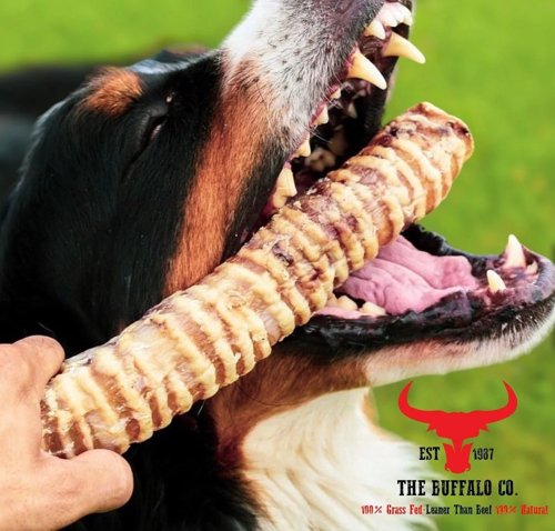 The Buffalo Co. Buffalo Trachea Rounds for Dogs 100% Natural Grass-Fed Dog Treats 1 x 100g