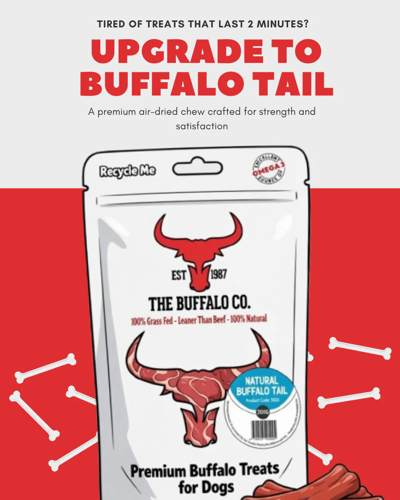 The Buffalo Co. Buffalo Tail for Dogs 200g 100% Natural Grass-Fed Dog Treats 1 x 200g