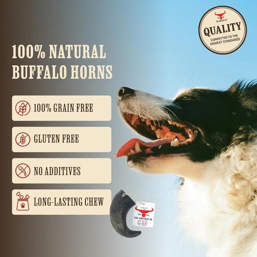 The Buffalo Co. Buffalo Horn for Dogs Large (6-8 Inch) 100% Natural Grass-Fed Dog Treats