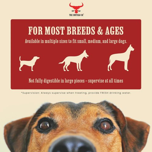 The Buffalo Co. Buffalo Horn for Dogs Large (6-8 Inch) 100% Natural Grass-Fed Dog Treats