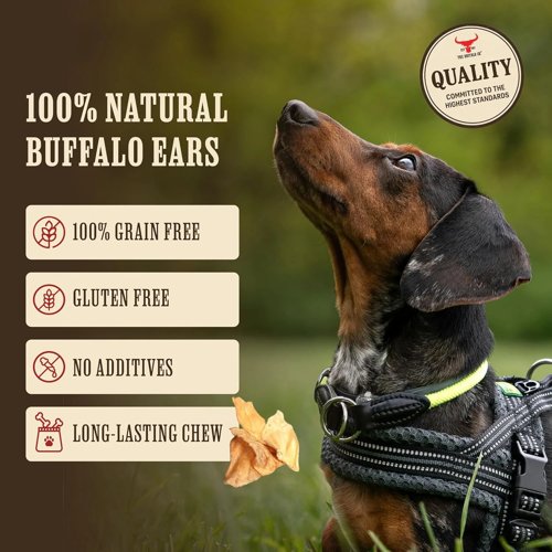 The Buffalo Co. Buffalo Ears for Dogs Natural Grass-Fed Dog Treats BULK Pack x 50