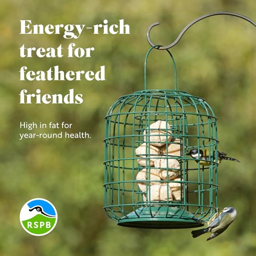RSPB - Fat Balls for Wild Birds High Energy Suet Balls Made in the UK 1 x 50 Box
