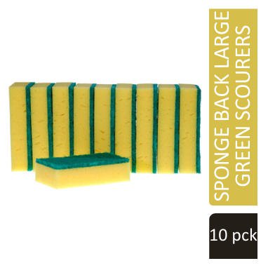 Janit-X Abrasive Sponge Back Large Green Scourer Pack 10's