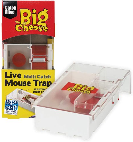 Big Cheese Pre-Baited Multicatch Mouse Trap {STV162}