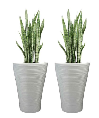 Hereford Cool Grey 47cm Tall Planter