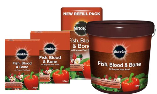 Miracle-Gro Fish, Blood & Bone All Purpose Plant Food 3.5kg - PACK (3)
