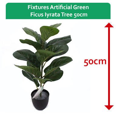 Fixtures Artificial Green Ficus Iyrata Tree 50cm