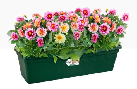 Elho Green Basics Large Trough 60cm LEAF GREEN - PACK (10)