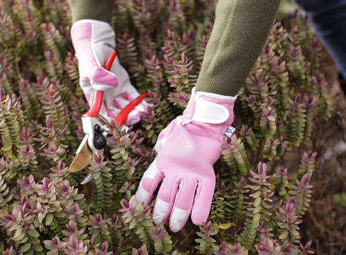 Spear & Jackson Kew Pink Gardening Gloves Medium