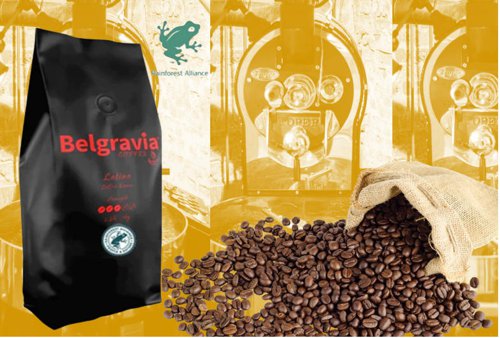 Belgravia Latino Blend Coffee Beans 1kg (Rain-Forest Alliance) - PACK (6)